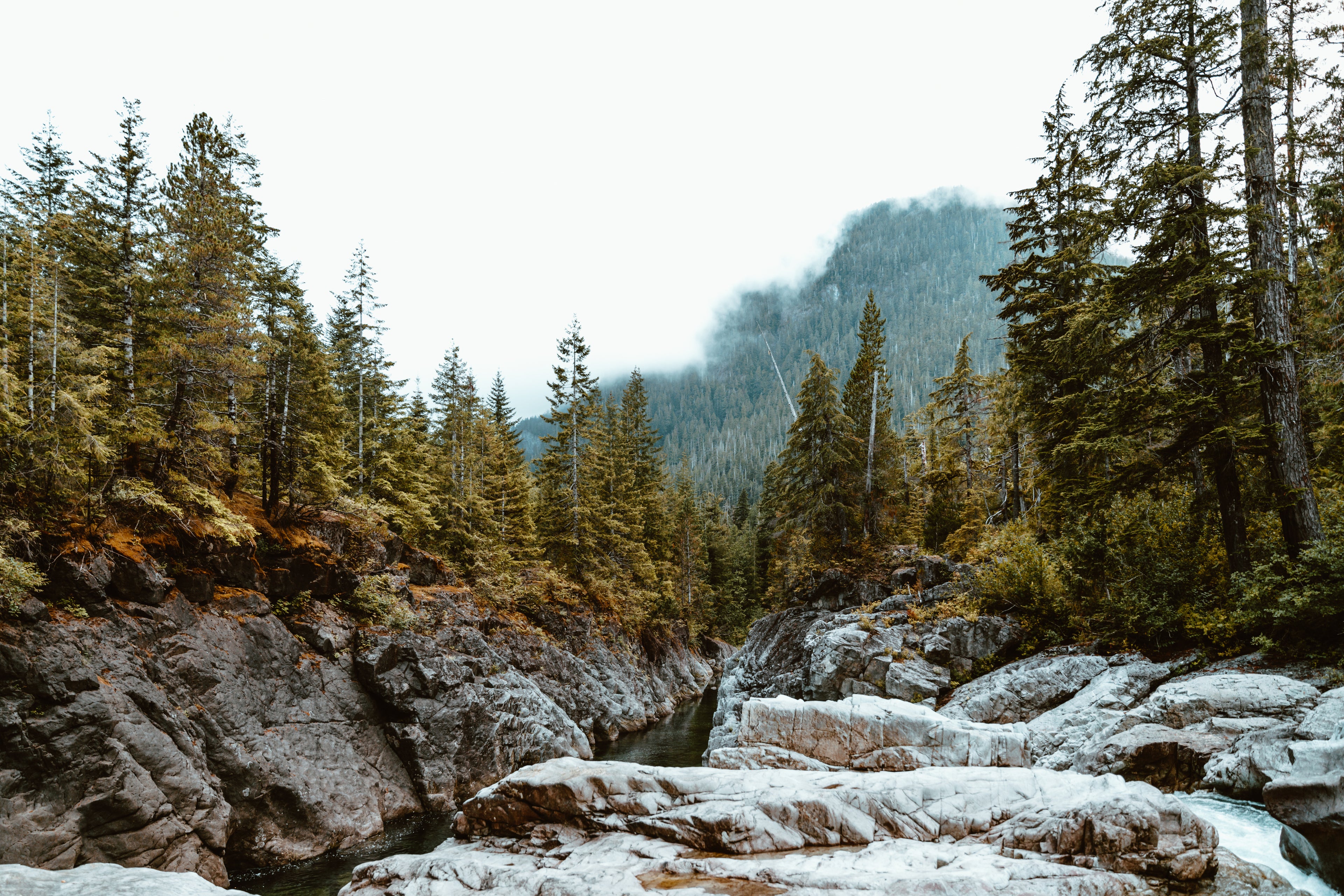 https://giphy.com/gifs/jerology-cinemagraph-waterfall-river-3oEduL71ojcXNnLEjK